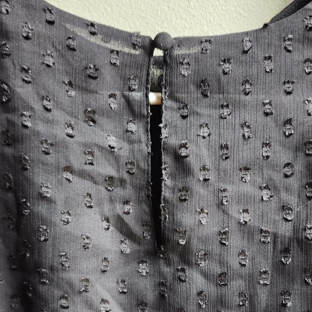 Express Sheer Black Cropped Blouse Size XS